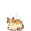 Arabicat