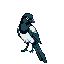 Cheepskate