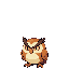 Owly